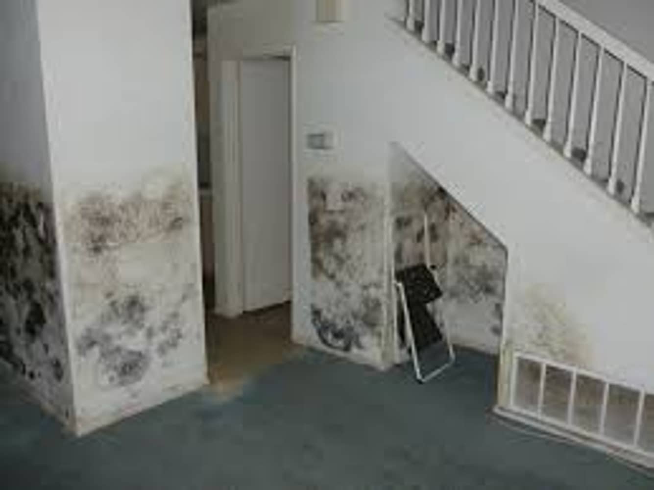 Photo(s) from Restorers.com