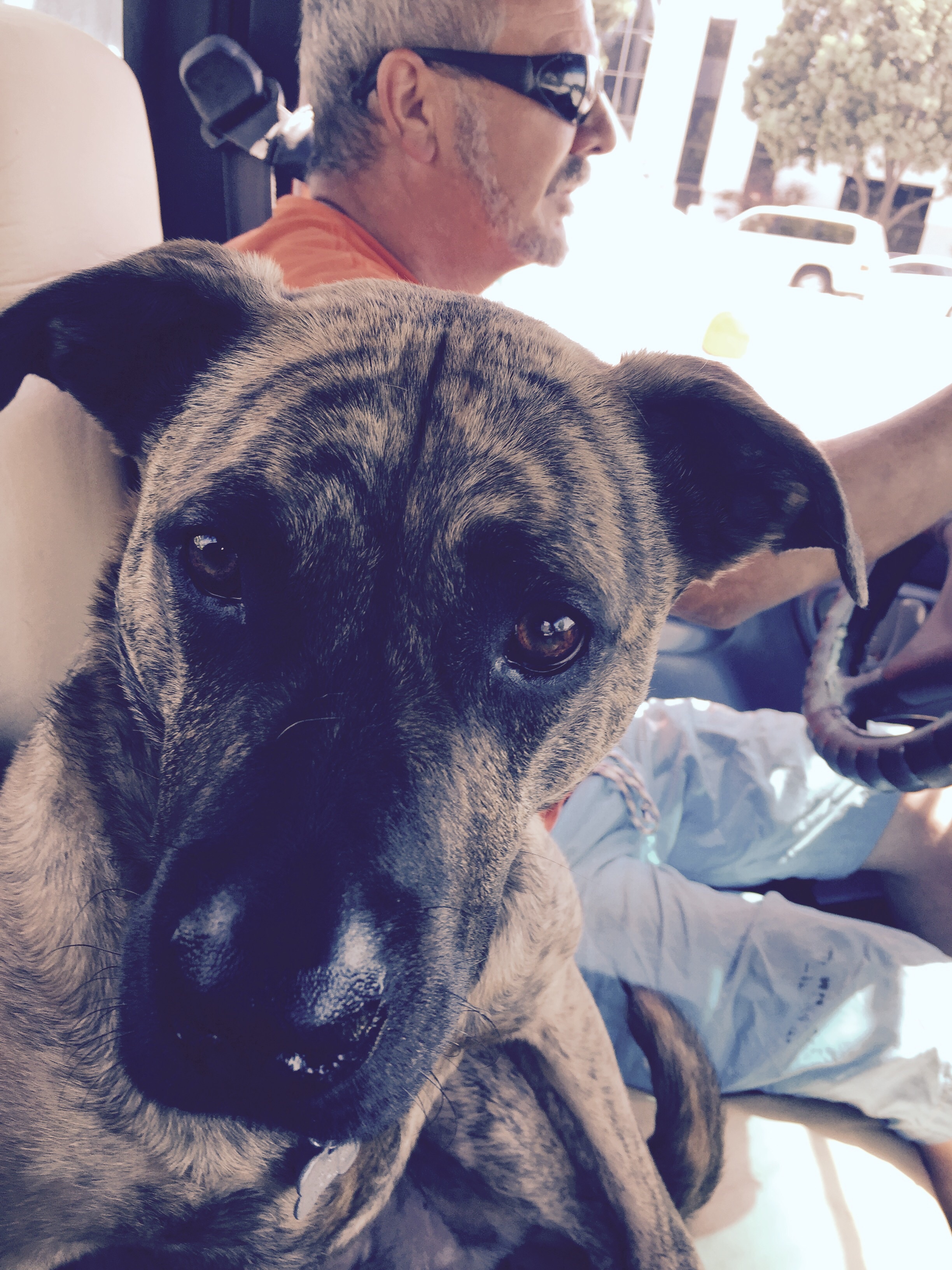 Johnny Randall Building