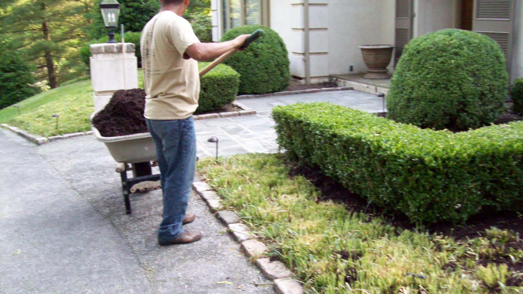 Photos from Montes Landscaping