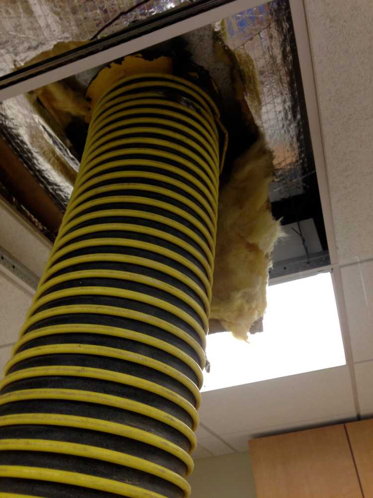 Photo(s) from All Island Duct Cleaning, Inc.