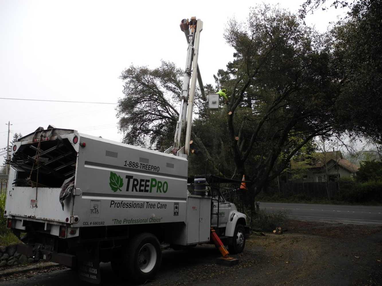 Photos from TreePro Professional Tree Care