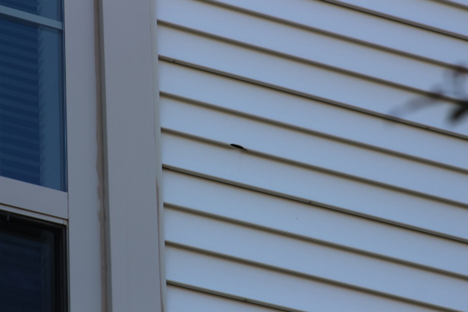 Photo(s) from Elite Construction LLC