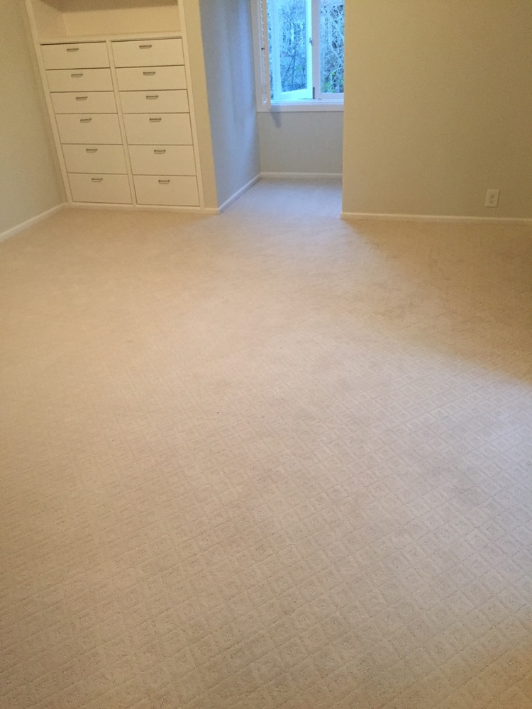 Hals Carpet & Vinyl Project