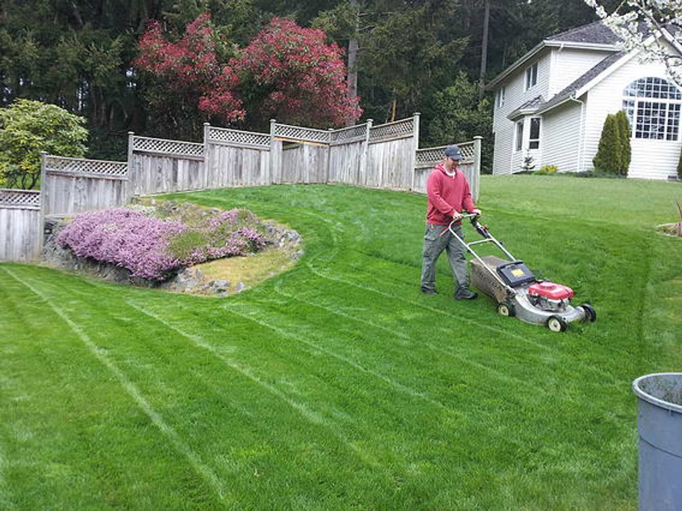 Lawn Maintenance