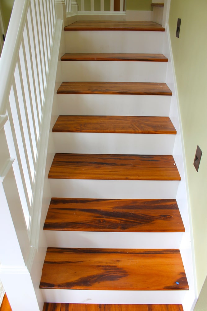 Samples and projects. 