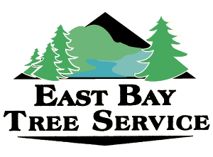 East Bay Tree Service