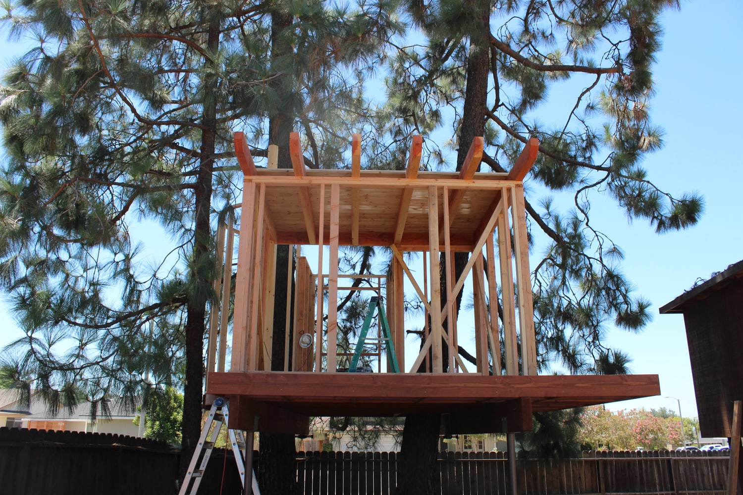 Photo(s) from Urban Treehouse