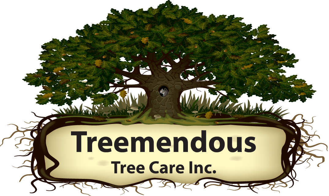 Treemendous Tree Care