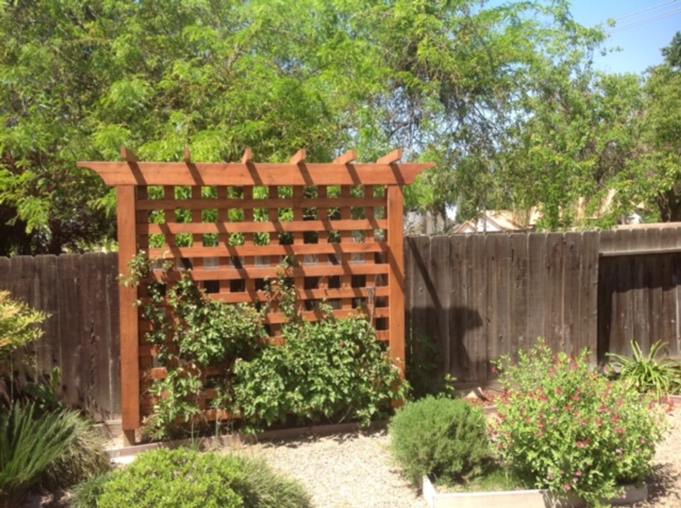 Photo(s) from Joseph Rabago