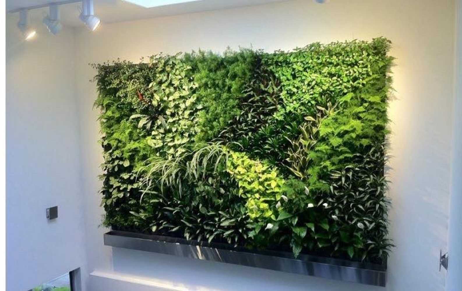 Vertical Gardens