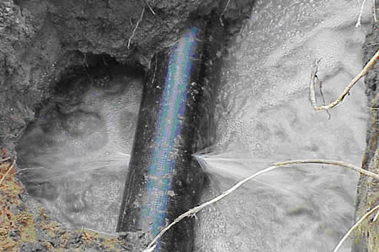 Photos from Leak Masters USA