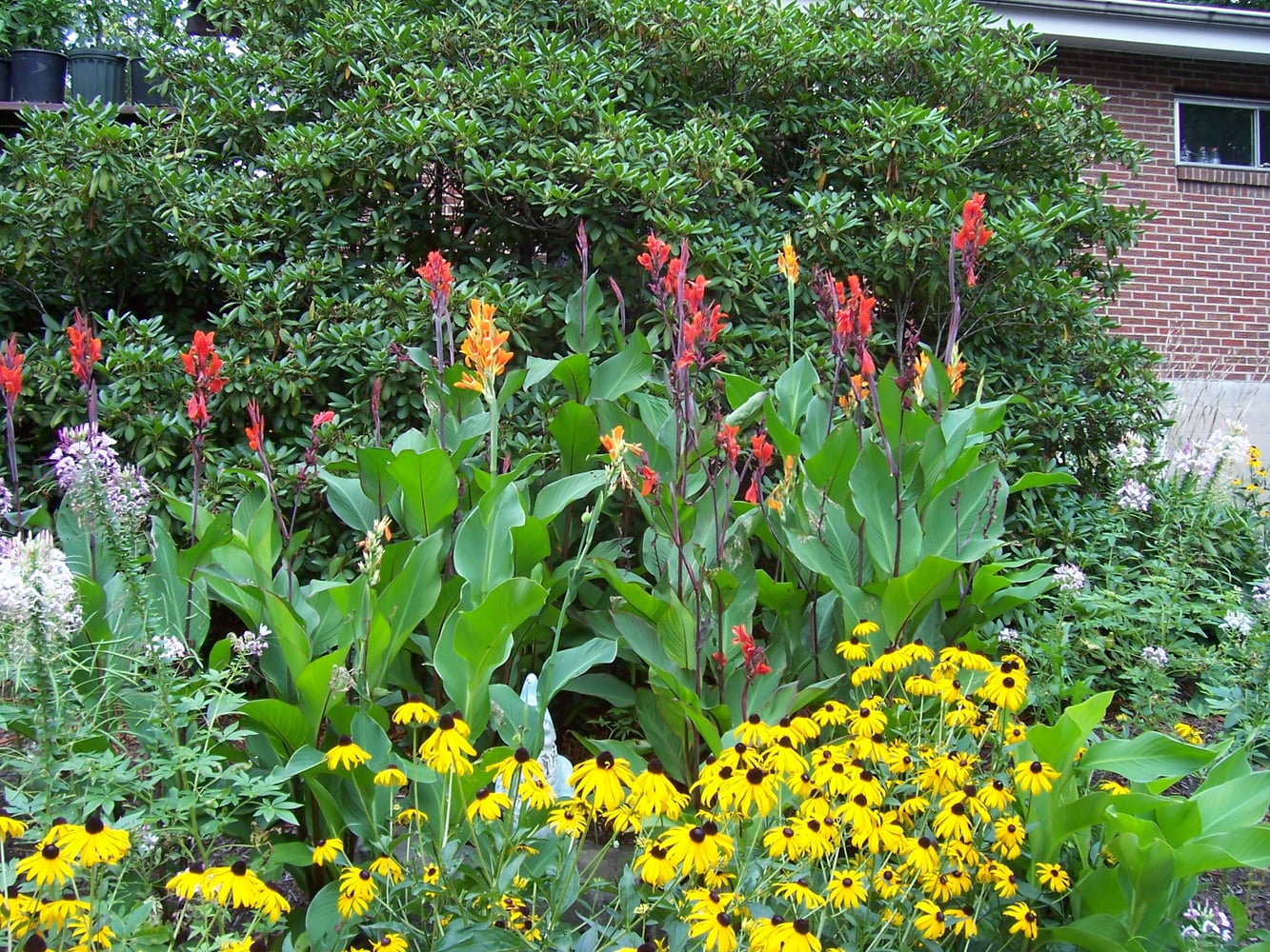 Asturi Landscaping Inc Project