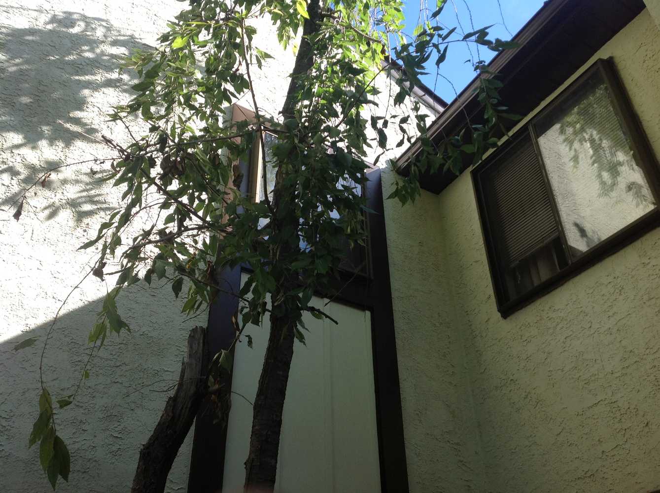 Exterior Stucco Power wash and repaint Photos