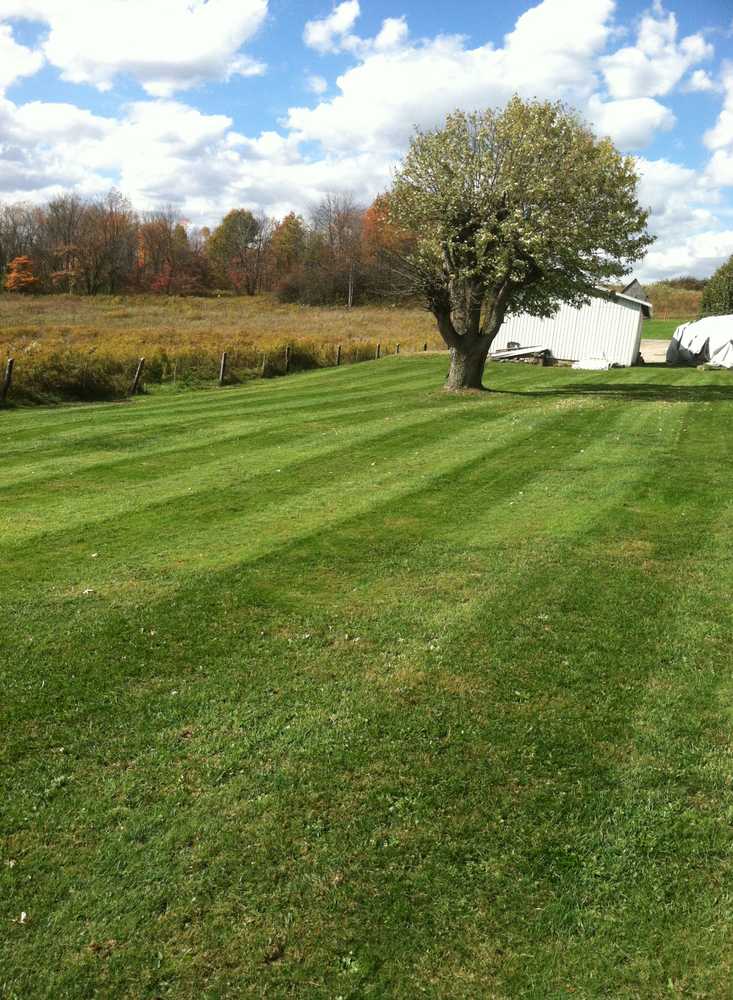 Project photos from Laschens Lawn Care And Landscaping