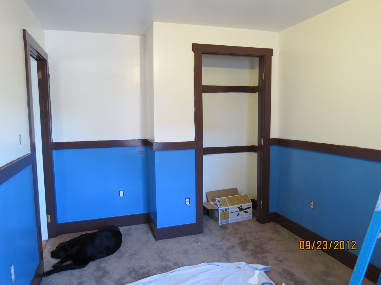Doors,Trim and Paint