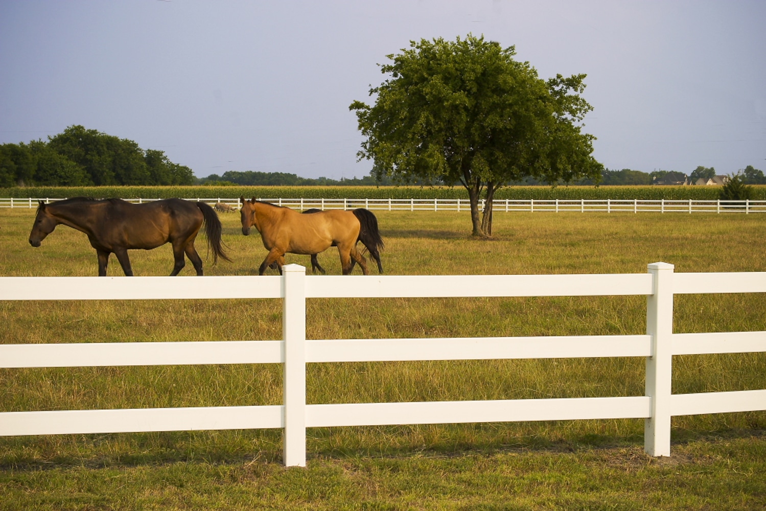 Future Outdoors Vinyl Fences