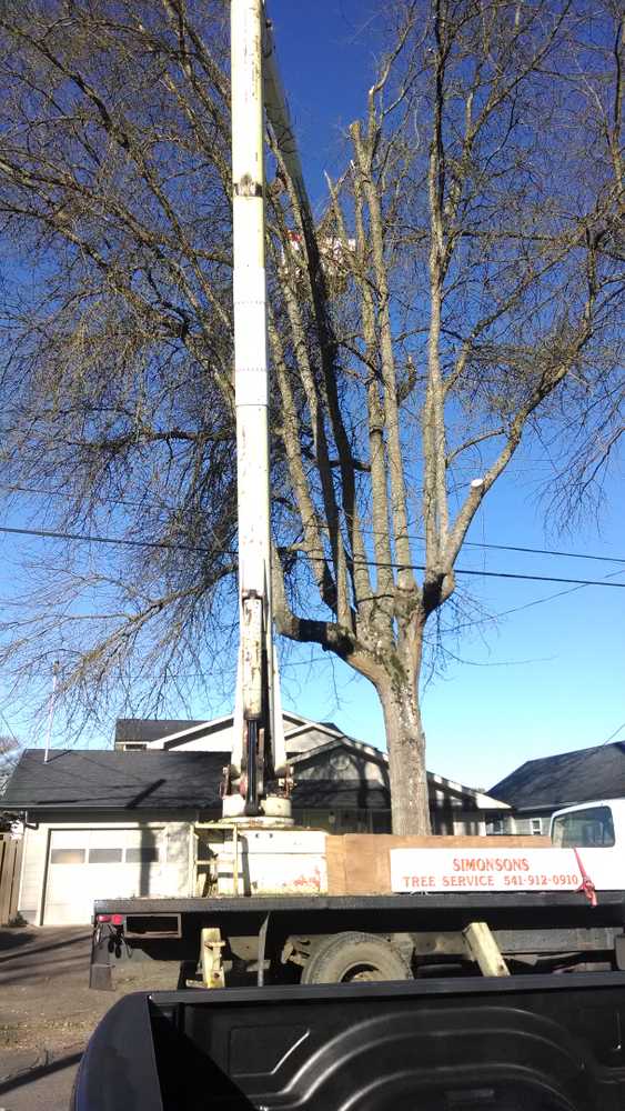 Photo(s) from Simonson Tree Service Llc