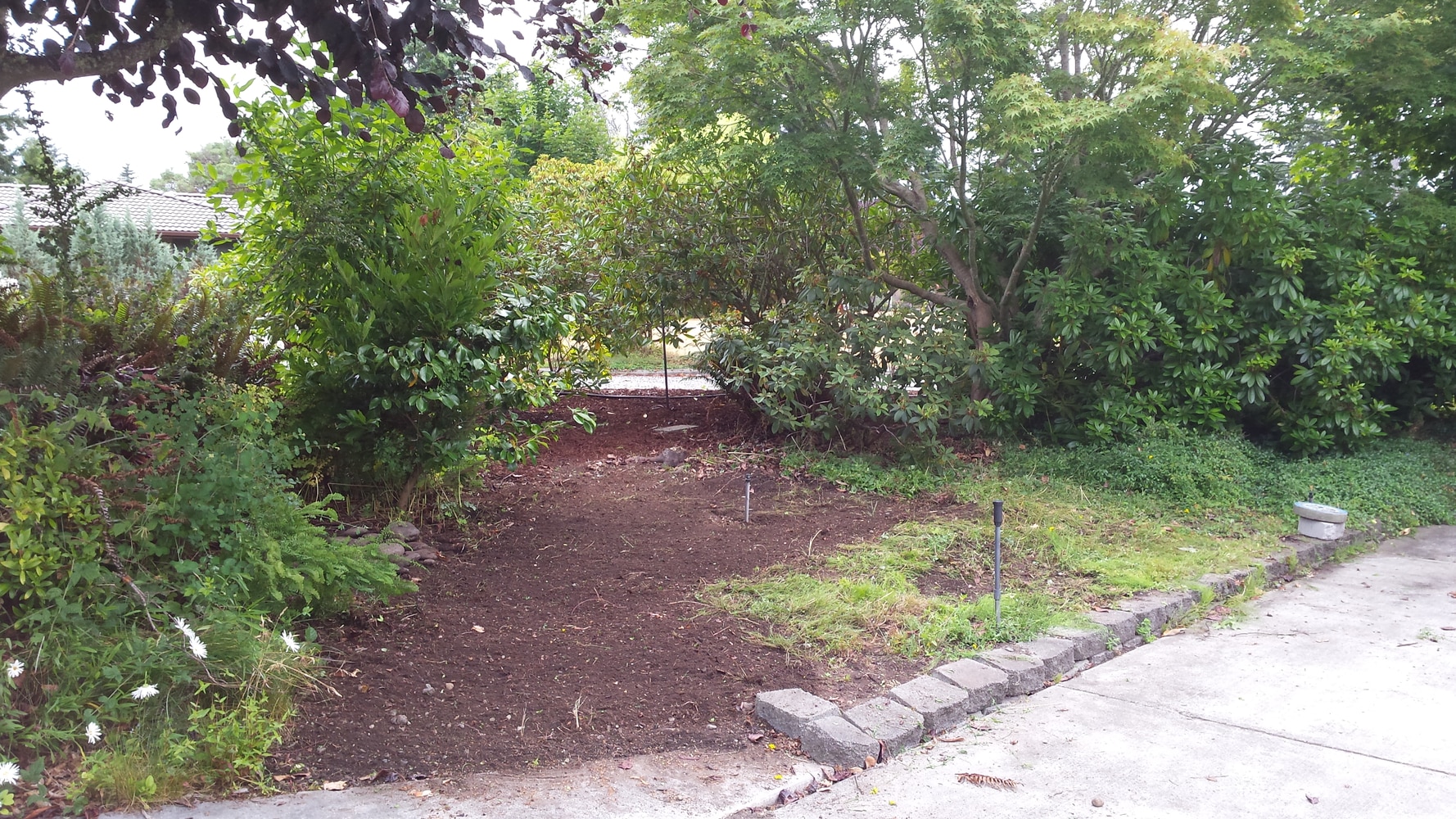 Photos from That Yard Guy