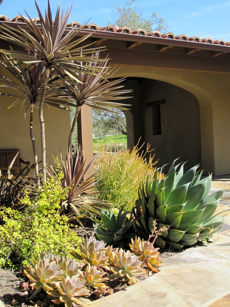 Enchanted Landscapes Project 1