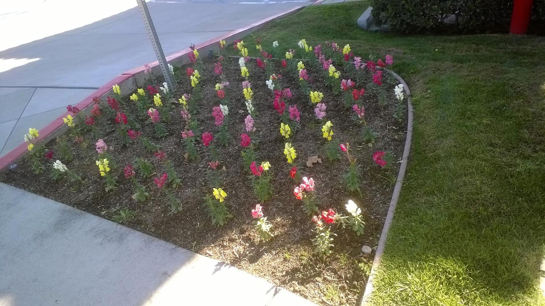 Photo(s) from All Green Maintenance