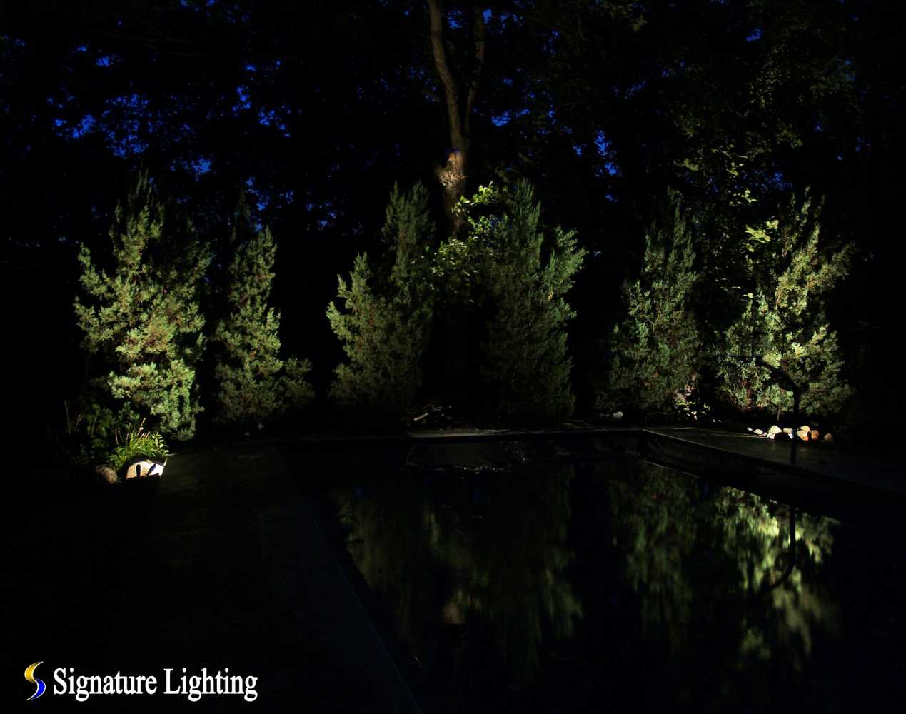 Landscape Lighting