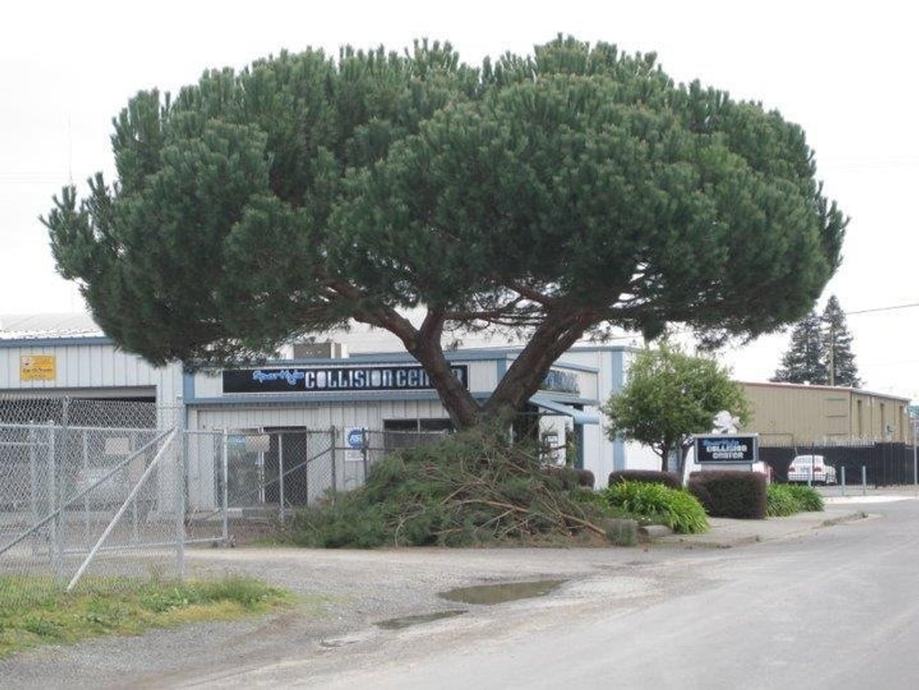 Photo(s) from Top Of The Morning Tree Care