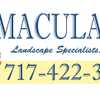Immaculate Landscape Specialists, Llc
