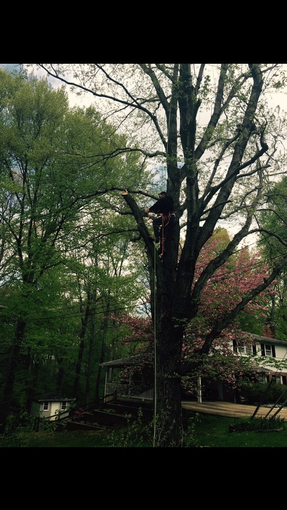 Photo(s) from Reeves Contracting