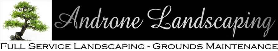 Androne Landscaping LLC.