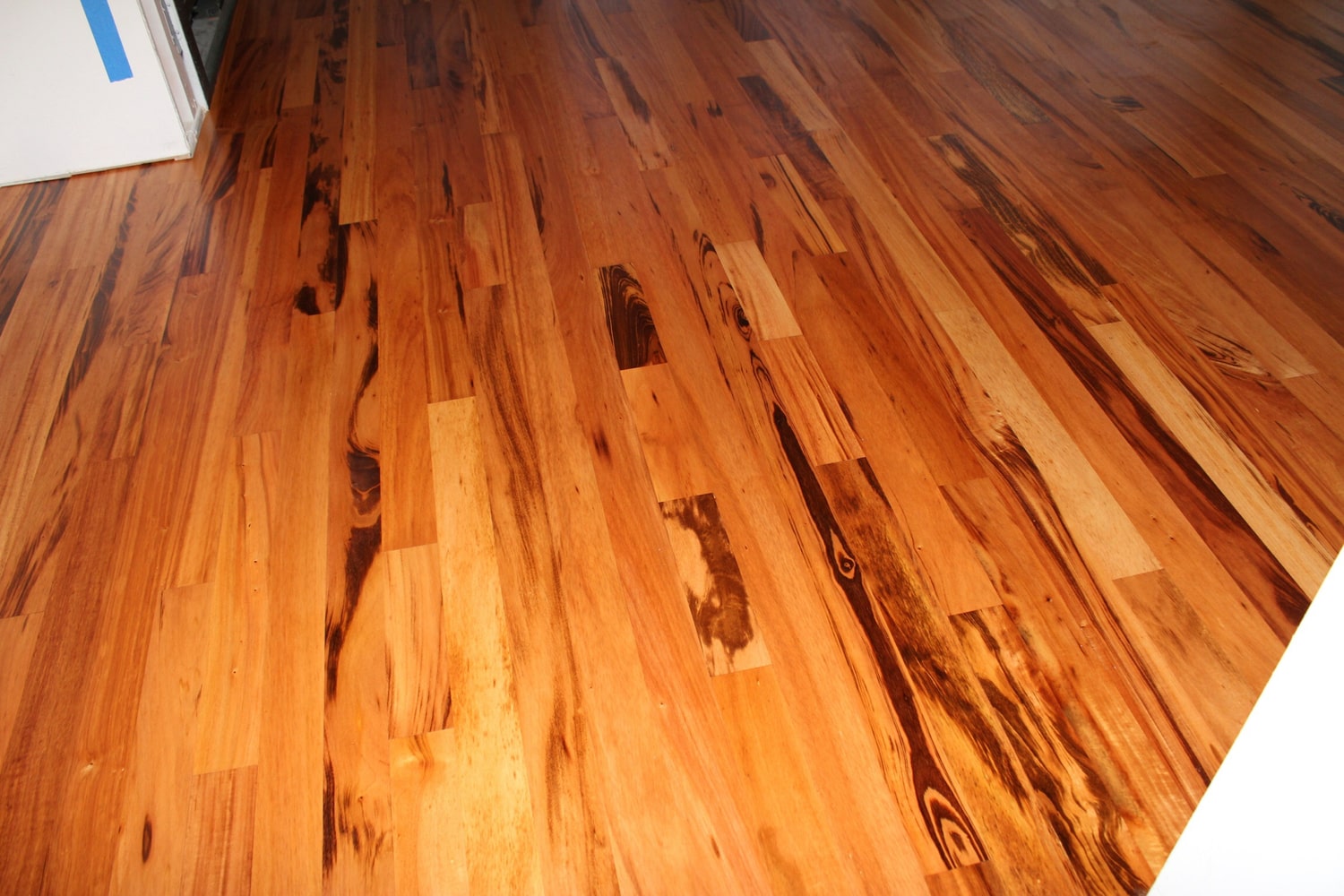 Samples and projects. 