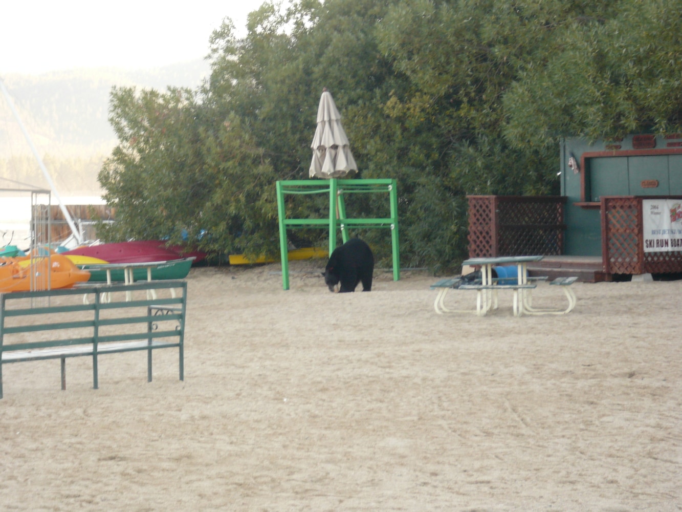 Photo(s) from Global Prevention Services, Inc.