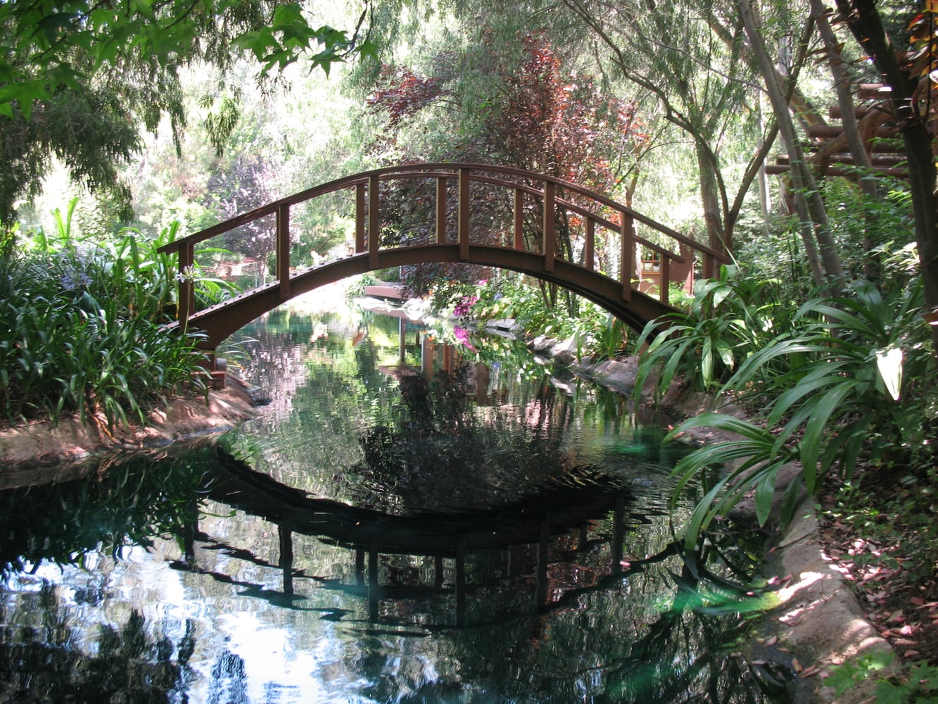 Patio Covers,Decks,Remodel,Plumbing,Framing,General Contracting