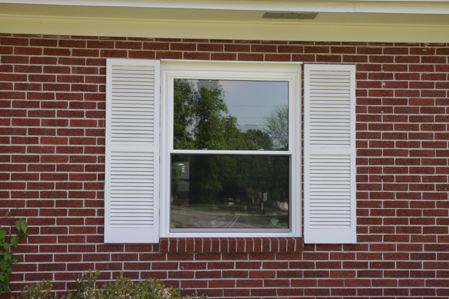 Replacement Windows