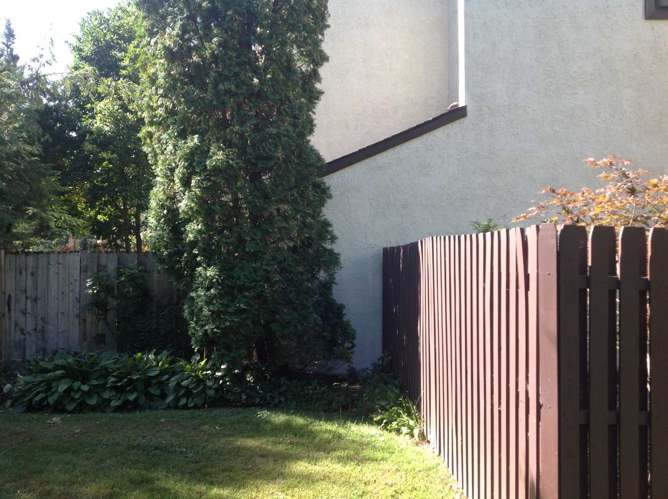 Exterior Stucco Power wash and repaint Photos