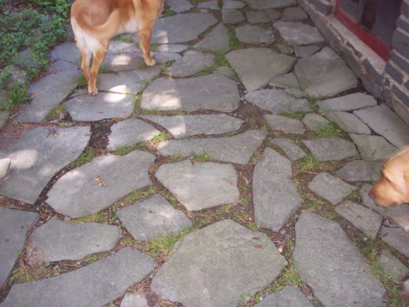 Chris Disimile Construction