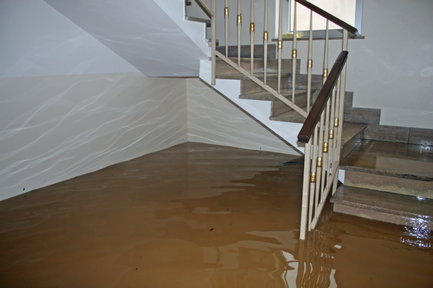 Photos from Rapid Response Restoration