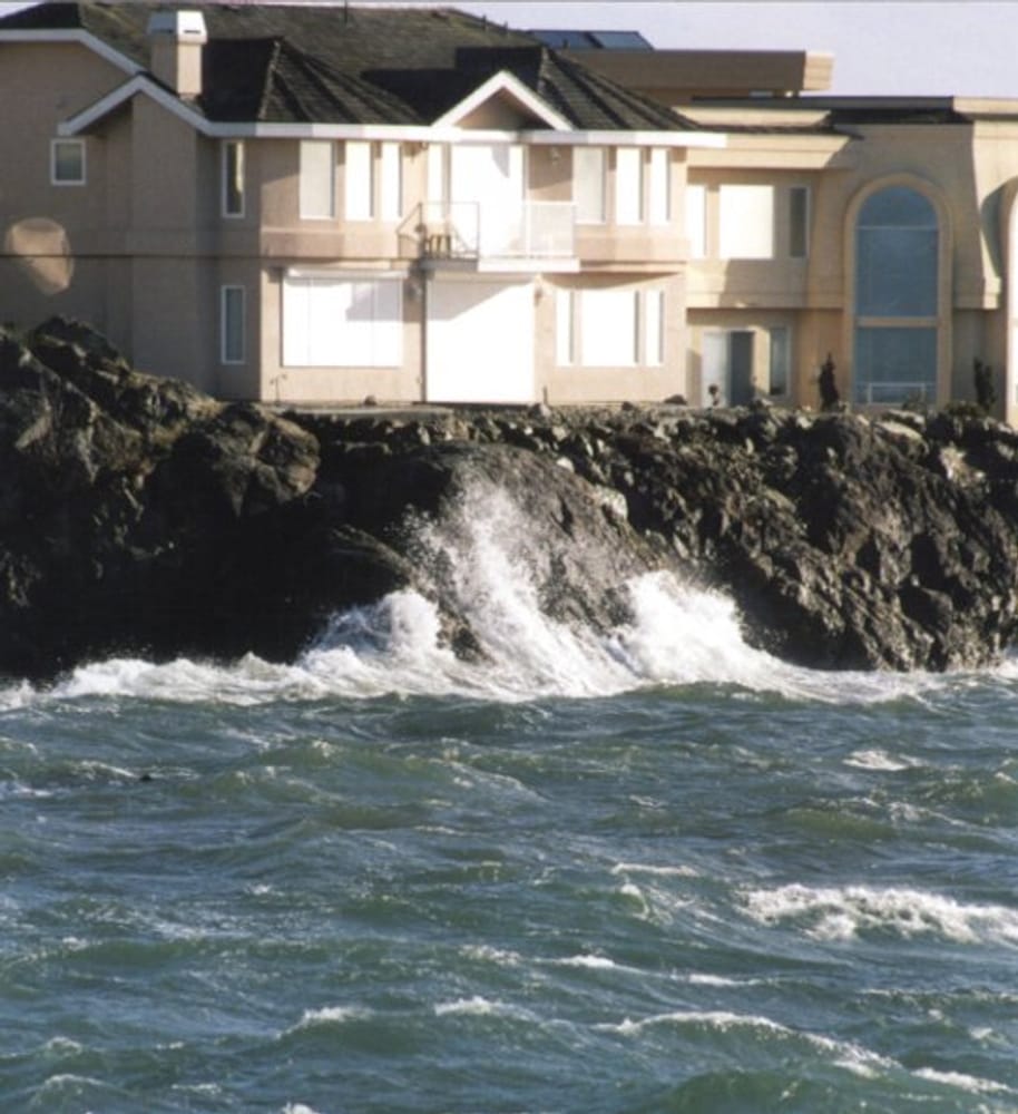 Projects by Sound Shade And Shutter