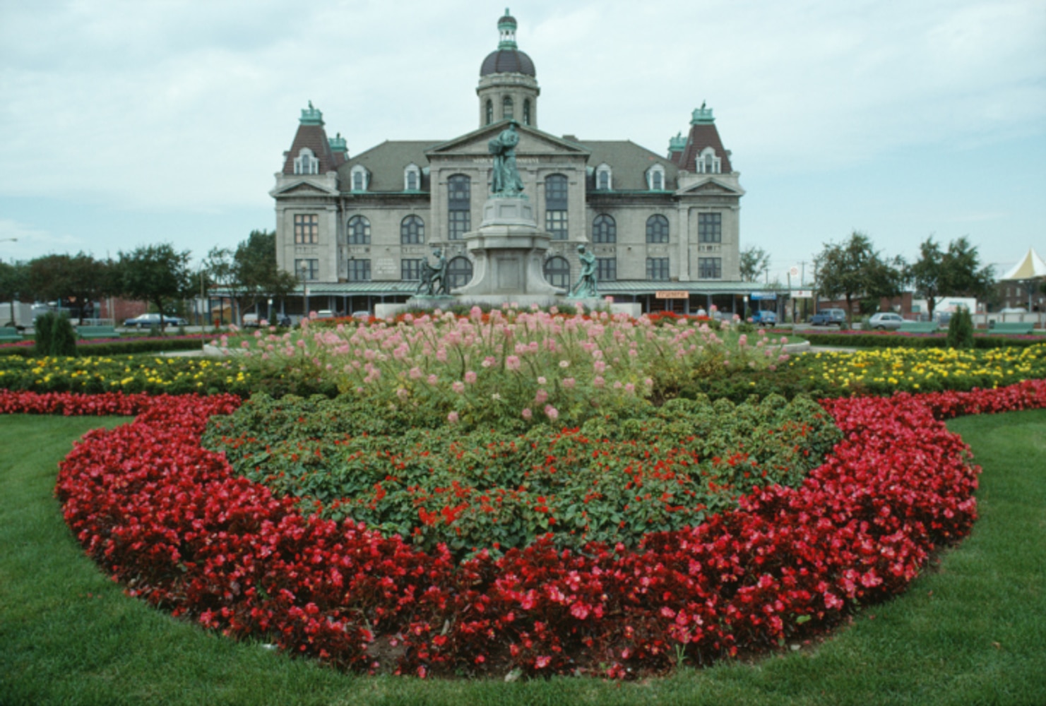 Professional Touch Project