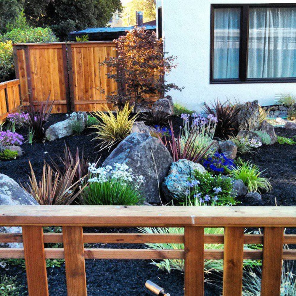 Hoopster Haven in Novato, Ca.