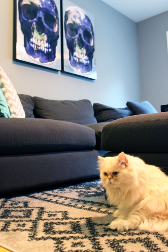 Photo(s) from Paintzen