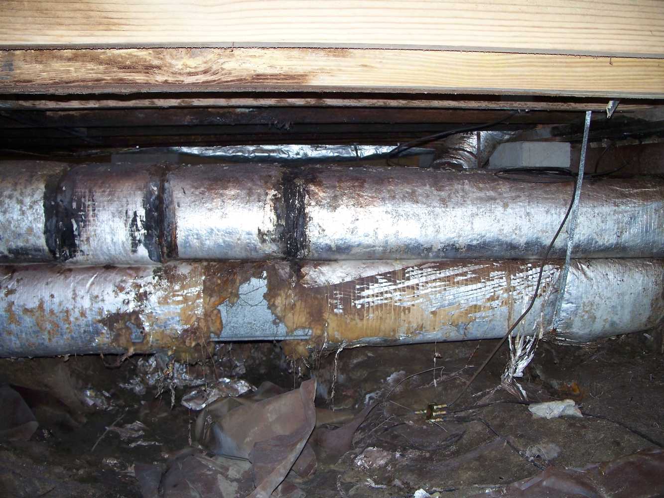 Crawlspace moisture damage- Don't let this happen to you. We can help.