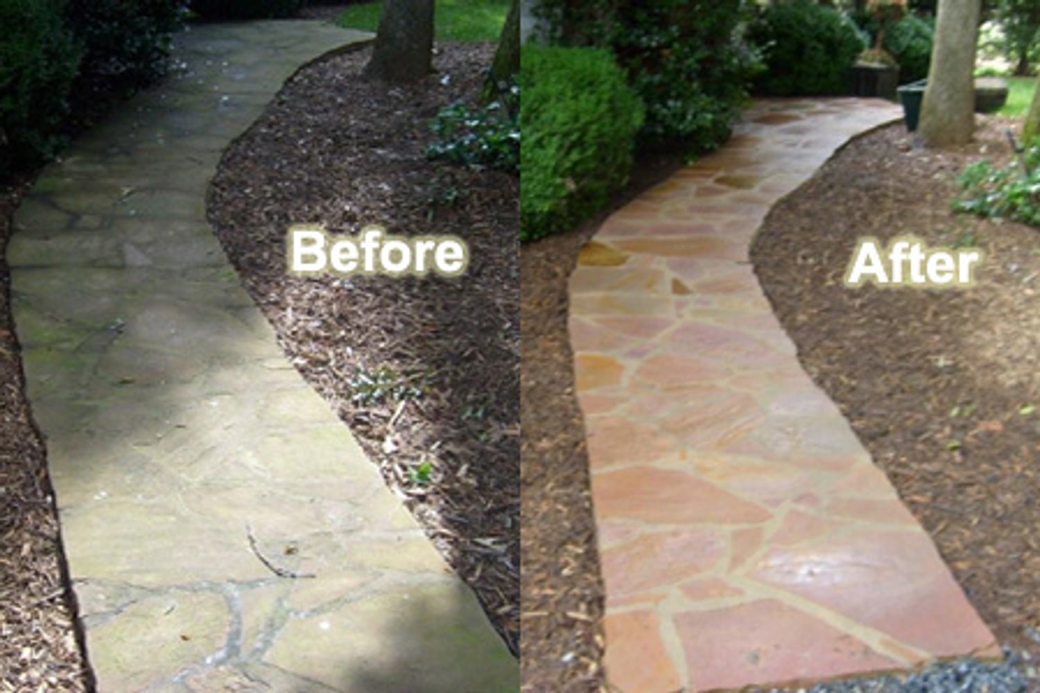 Photo(s) from Squeegee Pros