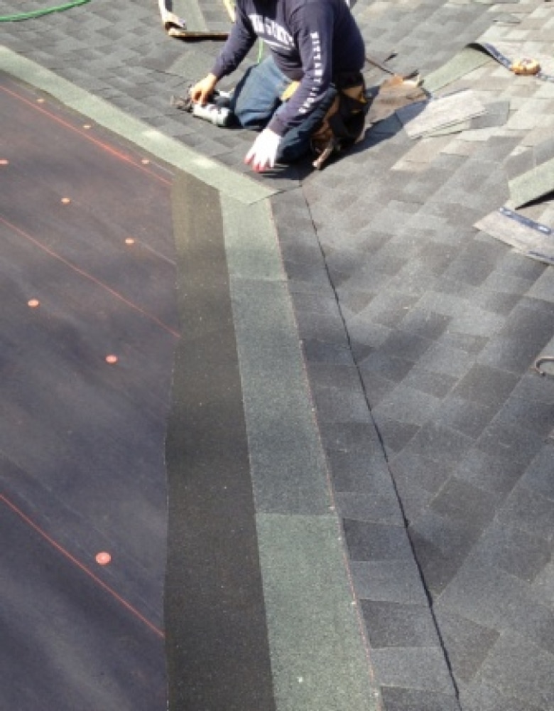 Roof, gutters, and skylights