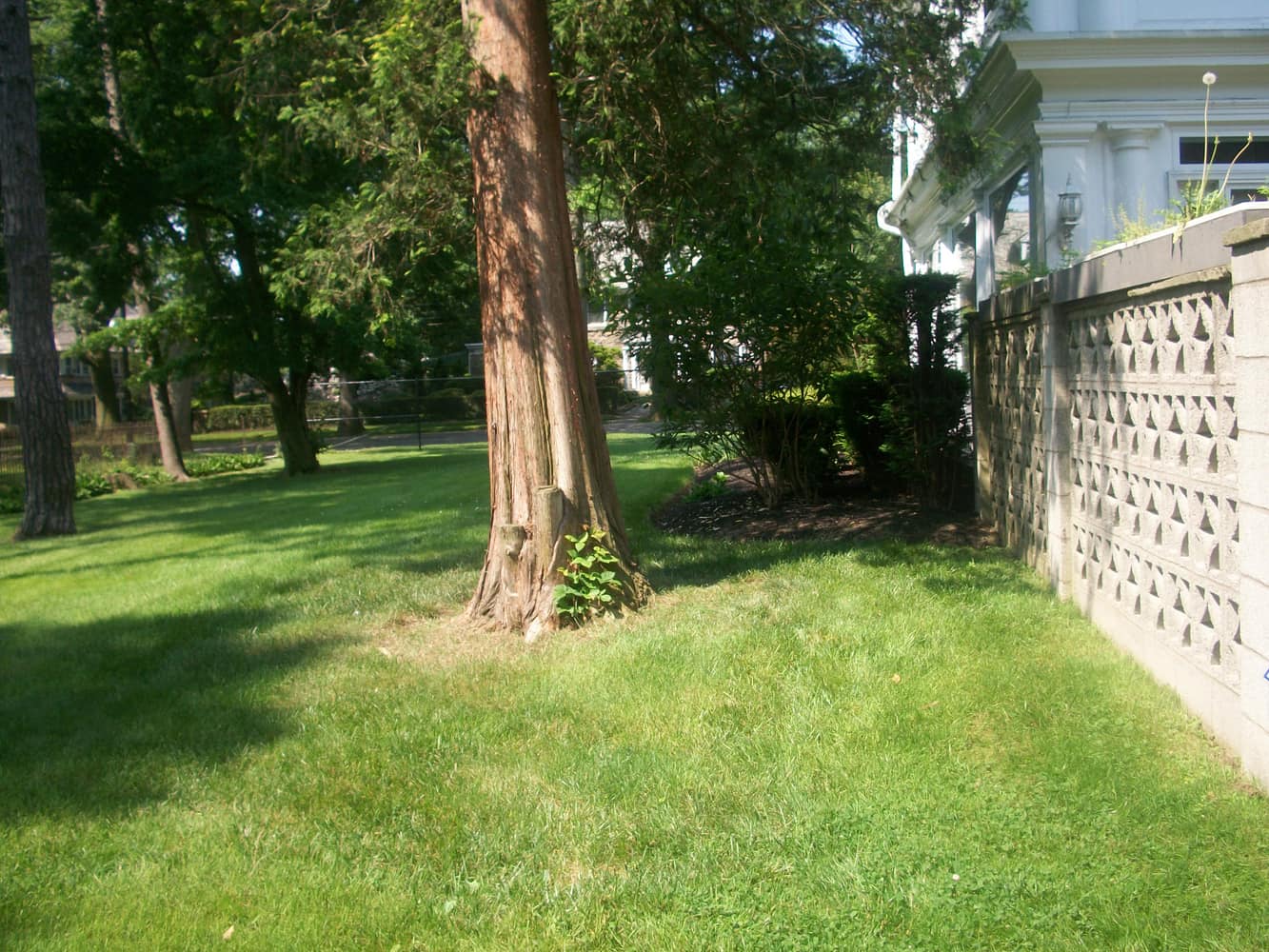 2339 Bryn Mawr Ave back patio