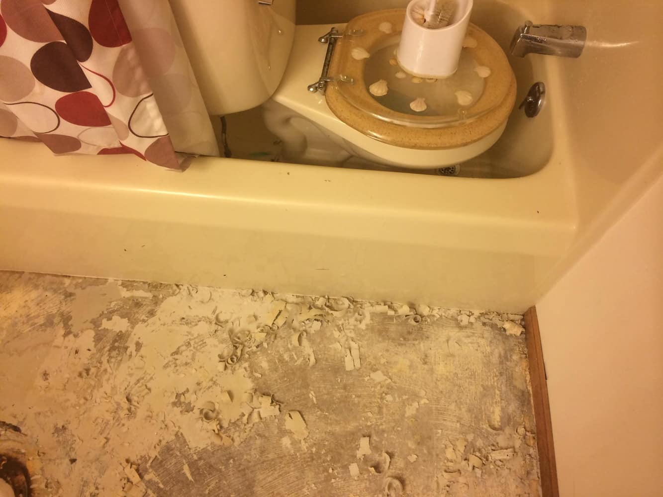 Photo(s) from Prevent Nothing Without Labor Llc