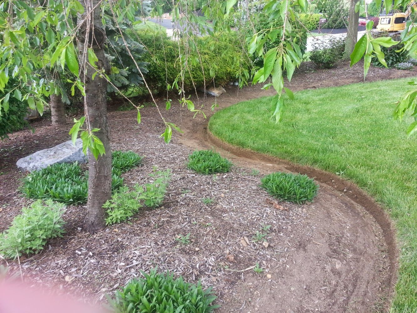 Photo(s) from Stripes Of Green