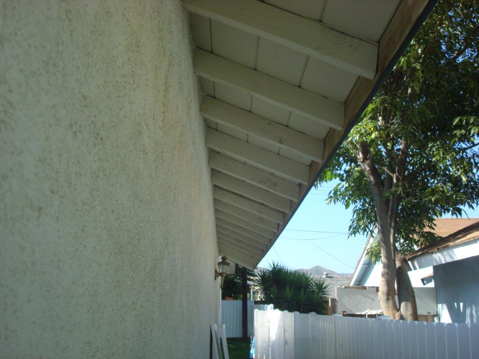 Exterior Painting
