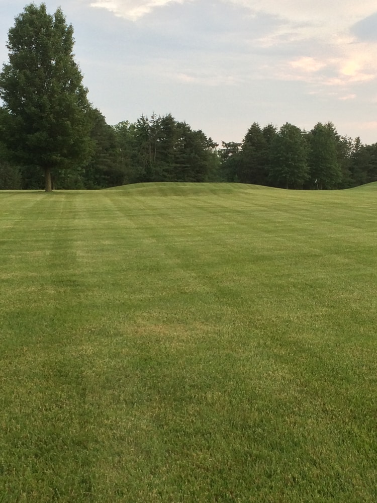 Photos from Superior Land Care Inc