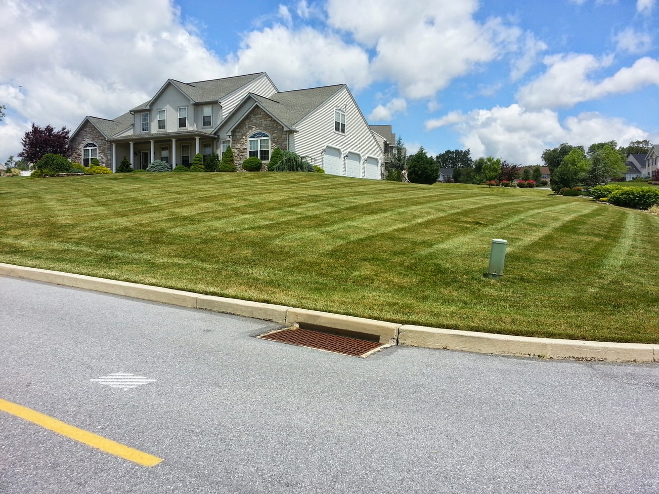 Photo(s) from Stripes Of Green