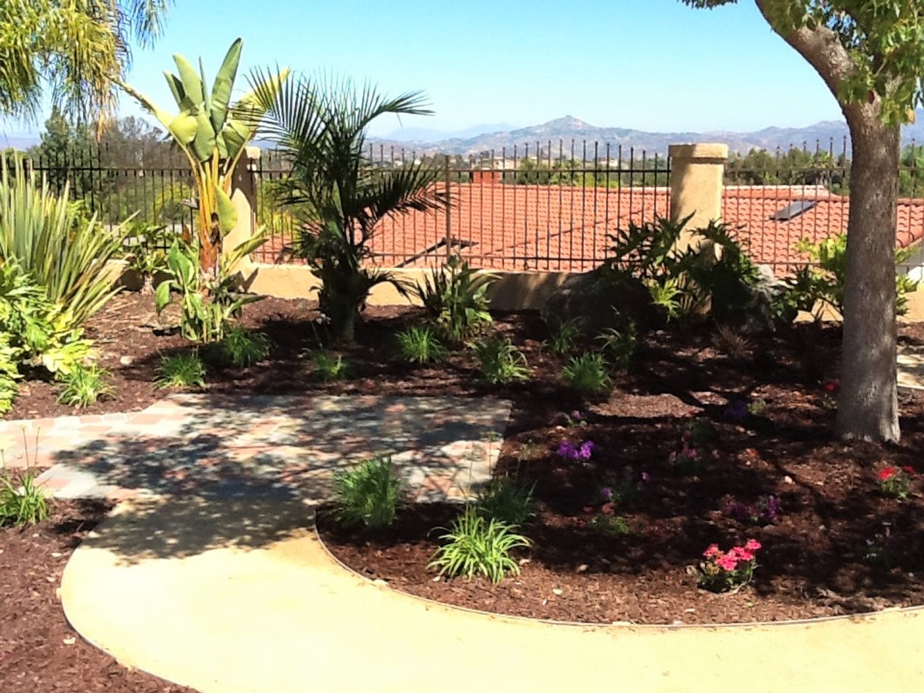 Photos from Newcomb Tree Experts Inc